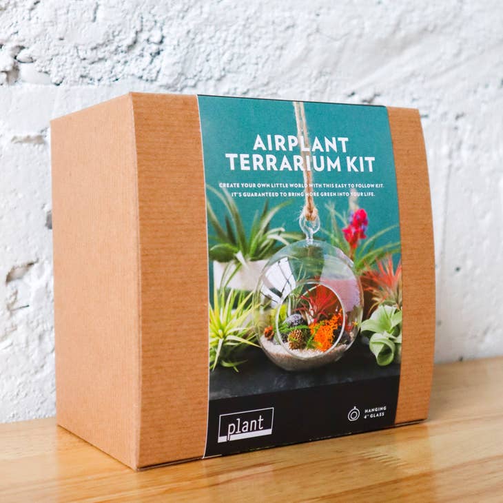 Create your own little world with this easy to follow kit. Minimal green thumb required. This hanging airplant (tillandsia) terrarium kit is perfect for any space; whether hung from the ceiling or wall, or sitting in a dish, you’ll be proud to showcase your miniature environment. 