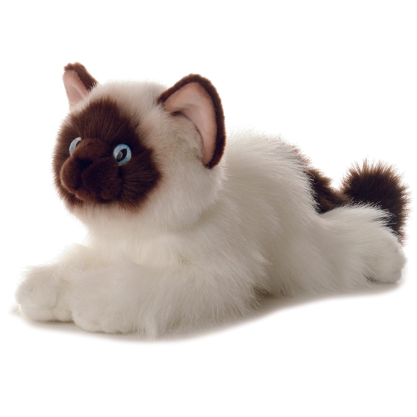 With a chocolate face, tail, and ears, Bella the 12 inch long Birman Cat will steal your heart. Her coat is fluffy and white, her ears are pink, and her eyes striking blue.  We just cant wait to give this little kitty a snuggle!