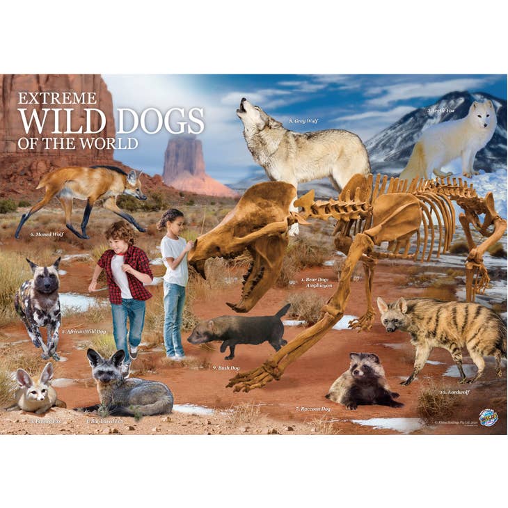 Extreme Wild Dogs of the World is a hands-on, collectible animal kit, which combines science and crafts. Children will build and customize a life-size Desert Fox and hatching egg. Children will also assemble a detailed 3D wooden model of a Grey Wolf.