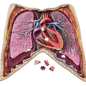 The Human Thorax Jigsaw Puzzle