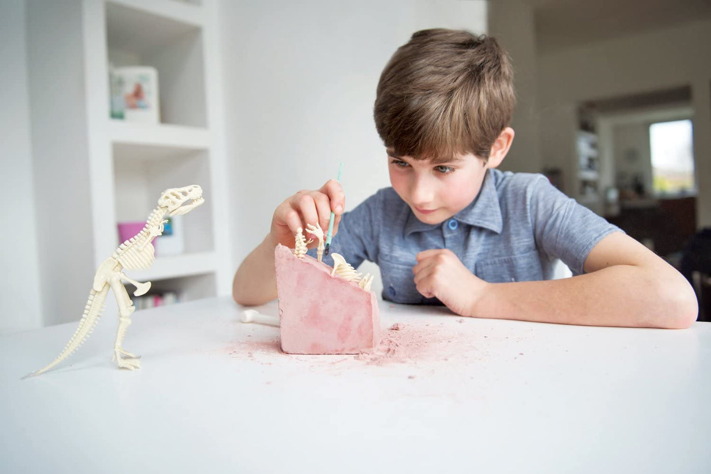 dino dinosaur tyrannosaurus rex T-rex skeleton dig 4M kit science palaeontology excavation prehistoric bone ages 8+ science at home education learning learn bone bones fossil TELUS Spark science centre gift science