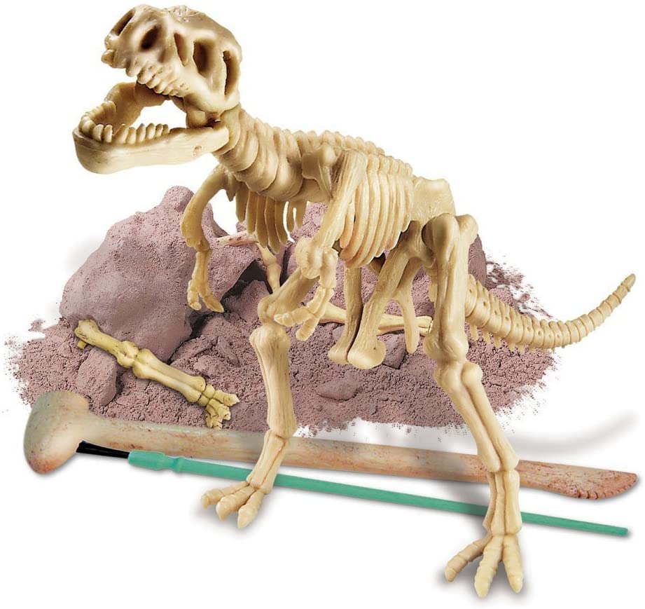 dino dinosaur tyrannosaurus rex T-rex skeleton dig 4M kit science palaeontology excavation prehistoric bone ages 8+ science at home education learning learn bone bones fossil TELUS Spark science centre gift science