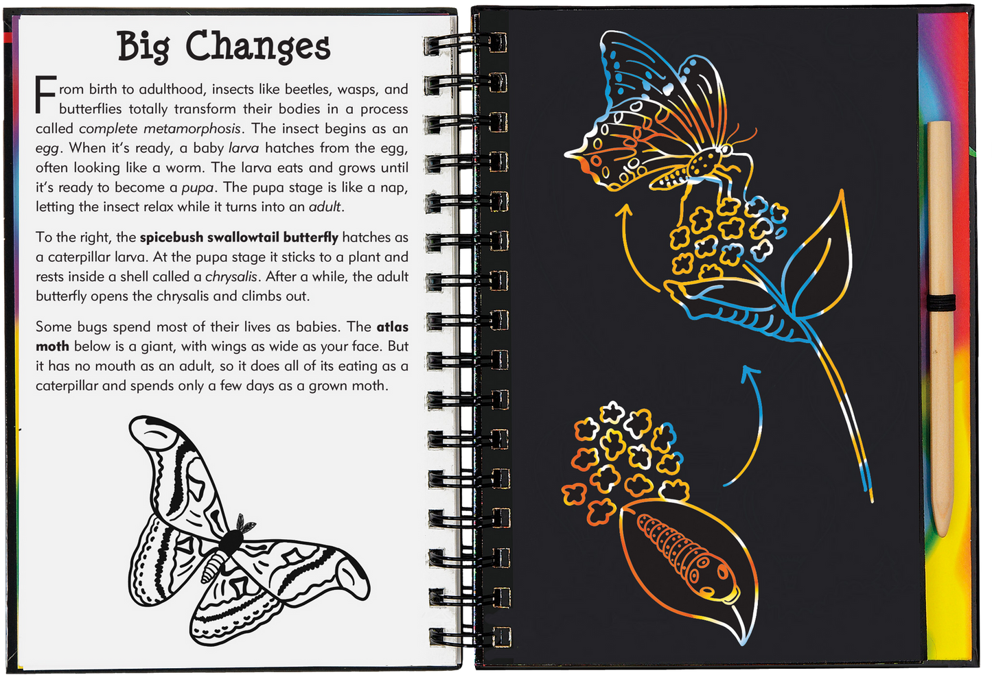This is a Trace-Along Scratch and Sketch! White outlines on black scratch-off pages create a fun way for younger children (5 and up) to trace each illustration, revealing patterns, swirls, and holographic colors.
