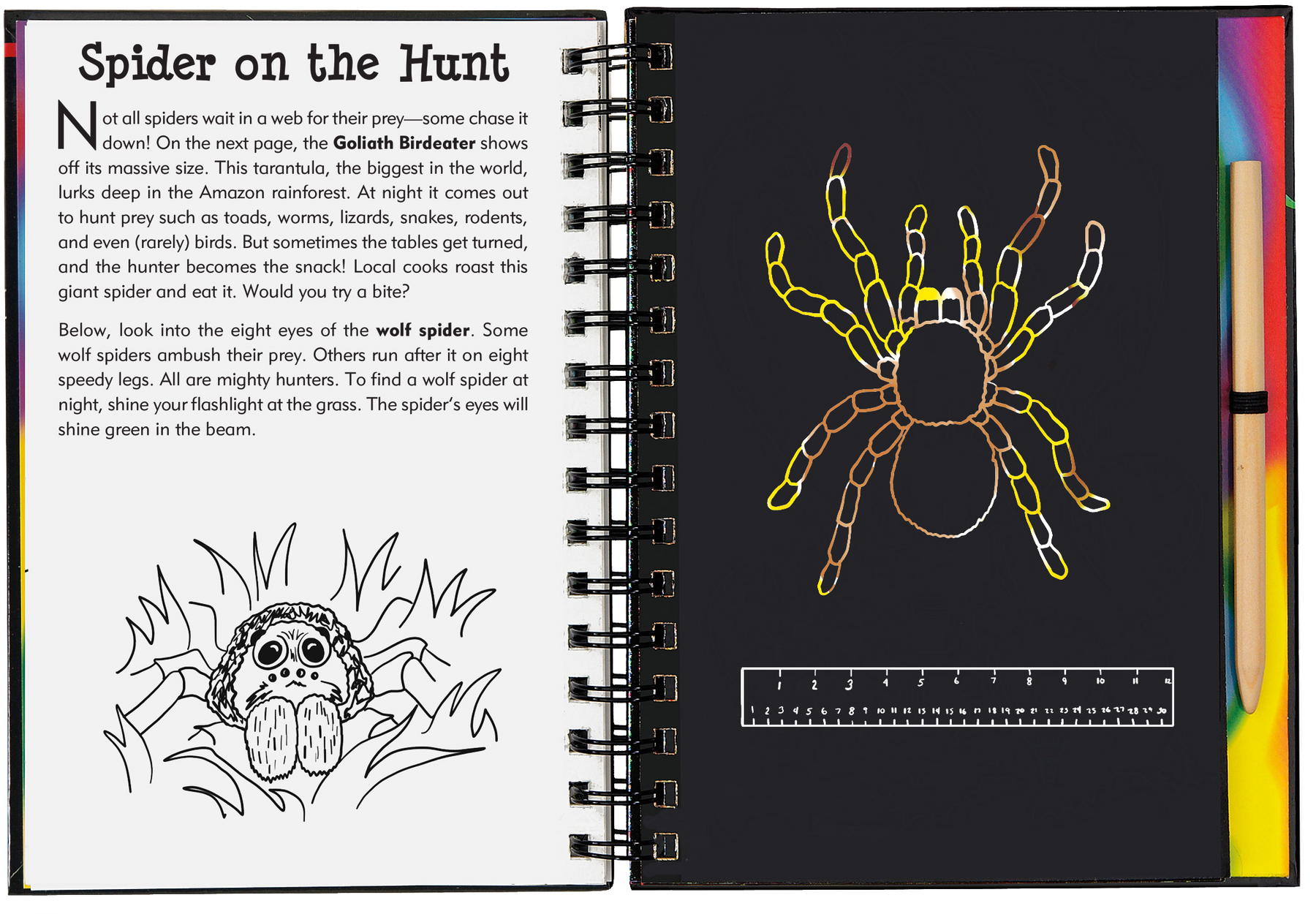 This is a Trace-Along Scratch and Sketch! White outlines on black scratch-off pages create a fun way for younger children (5 and up) to trace each illustration, revealing patterns, swirls, and holographic colors.