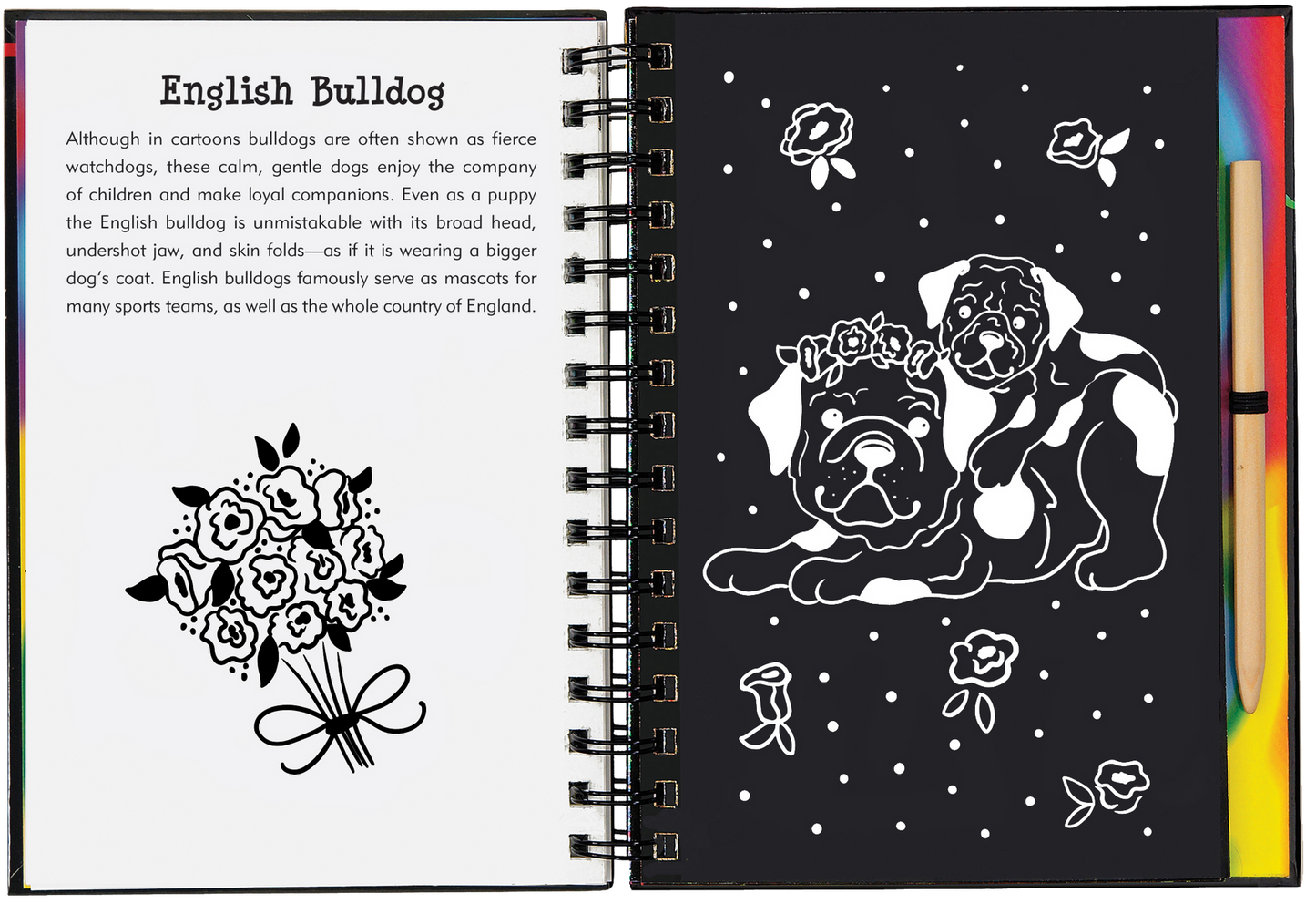 This is a Trace-Along Scratch and Sketch! Use the wooden stylus included to trace the white outlines on the black-coated pages and reveal the glittery foil and rainbow-swirl colors beneath!