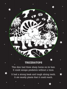 Learn basic facts about seven prehistoric creatures as you cast their shadows onto your walls.