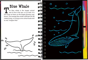 Learn amazing facts and get creative as you discover and draw 20 fascinating creatures of the deep blue sea!