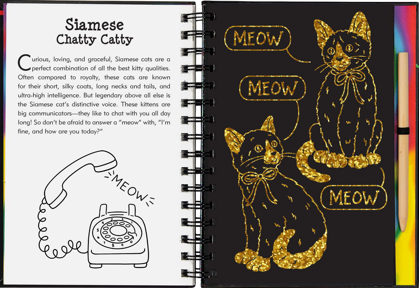 Scratch and Sketch your way through the cuddly world of kittens!