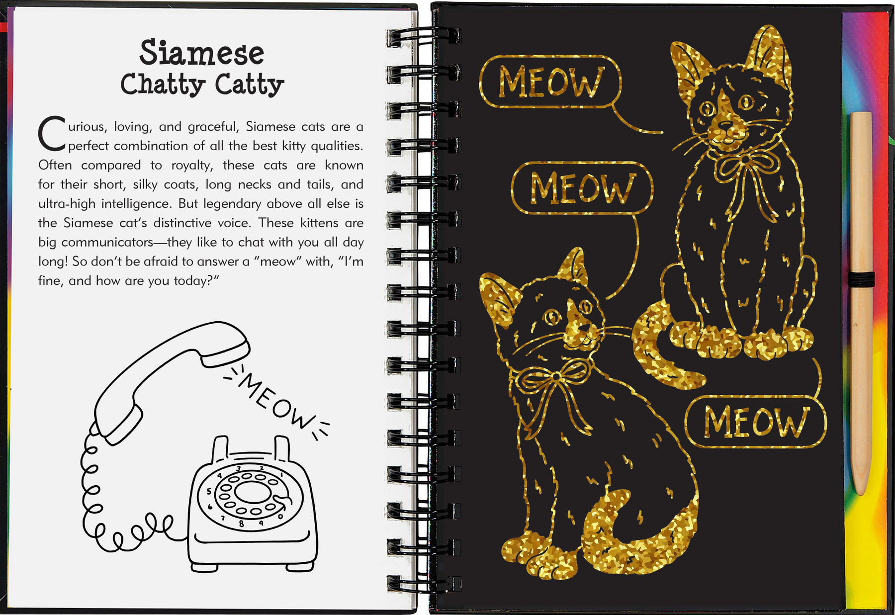 Scratch and Sketch your way through the cuddly world of kittens!