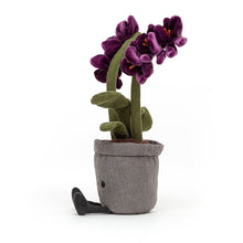 Load image into Gallery viewer, Amuseable Orchid is always in bloom, showing off ruffly plum velour flowers. Each fuzzy blossom has an orange ribbon flourish, perched on a fresh green needlecord stem. With cordy leaves and cocoa boots, fluffy fudge soil and a grey linen pot, this orchid has hothouse chic!
