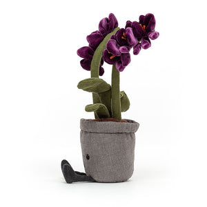 Amuseable Orchid is always in bloom, showing off ruffly plum velour flowers. Each fuzzy blossom has an orange ribbon flourish, perched on a fresh green needlecord stem. With cordy leaves and cocoa boots, fluffy fudge soil and a grey linen pot, this orchid has hothouse chic!