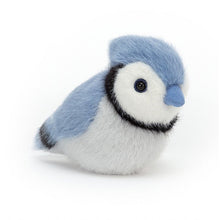 Load image into Gallery viewer, Birdling Blue Jay is a dashing chick with bright, curious eyes. Always on the lookout for bugs and fruits to snaffle with that blue suedey beak, this silky-soft forager makes a great pocket pet. Check out that snowy face, with bold black markings and plumy crest
