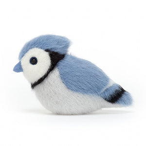 Birdling Blue Jay is a dashing chick with bright, curious eyes. Always on the lookout for bugs and fruits to snaffle with that blue suedey beak, this silky-soft forager makes a great pocket pet. Check out that snowy face, with bold black markings and plumy crest
