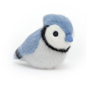 Birdling Blue Jay is a dashing chick with bright, curious eyes. Always on the lookout for bugs and fruits to snaffle with that blue suedey beak, this silky-soft forager makes a great pocket pet. Check out that snowy face, with bold black markings and plumy crest