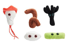 Load image into Gallery viewer, biohazards giant microbes ebola toxic mold anthrax TB brain eating amoeba plush microbes fun unique educational collectible contagiously humorous ages 3+
