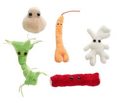 body cells giantmicrobes giant microbes cells bacteria microbial healthy bone cell fat cell nerve cell hair muscle cell ages 3+ toy toys plush stuffed microbes disease cells biology doctor nurse nurses doctors medical