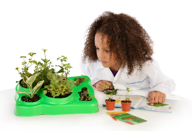 botany experimental greenhouse botanists unique biological science experiment kit plants seeds experiments domes thermometer ventilation automatic watering systems beans cress zinnia flowers cells capillary action roots transport water nutrients water light heat bean leaves sweat grass grows geminate fruit vegetable plants ages 5+ gardening botany