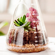 Load image into Gallery viewer, chemistry terrarium kit suckuk lab-flask indoor garden window eco-system coir sand activated charcoal pebbles plant plants planter kit green finger scientists science unique spark joy happiness gift
