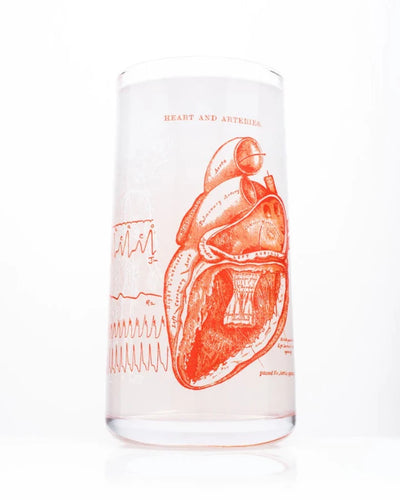 Get your heart pumping with this Anatomical Heart Drinking glass topped off with your favorite cold brew.