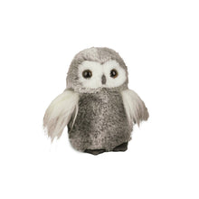 Load image into Gallery viewer, Whether you’re a nature lover or an aspiring wizard, there’s undeniable appeal to having a handsome Owl as a pet!  With the right amount of care and cuddles, it’s guaranteed the two of you will become the best of friends!
