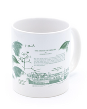 Load image into Gallery viewer, Evolution 20oz mega mug cognitive surplus tea coffee evolutionary origin of species charles darwin green educational facts learning unique tea science mugs kitchen gift coffee biology
