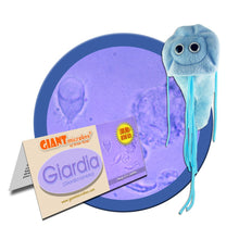 Load image into Gallery viewer,  Giardia lamblia is a protozoan parasite often acquired during recreational swimming in the lakes and rivers of the great outdoors. Hikers and campers are common carriers and giardiasis (or giardia infection) is sometimes referred to as “hiker’s diarrhea.” This one is soft and cute though so dont worry!
