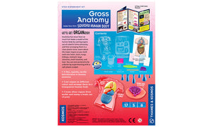 gross anatomy science kit thames and kosmos heart lungs brains putty anatomical human body vital organs squishy slimy model models mix colorful slime molds heart lungs kidneys stomach large intestine small intestine liver creations plastic torso fit fascinating dotor doctors nurse nurses medical medicine scalpel educational learning education ages 8+