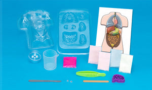 gross anatomy science kit thames and kosmos heart lungs brains putty anatomical human body vital organs squishy slimy model models mix colorful slime molds heart lungs kidneys stomach large intestine small intestine liver creations plastic torso fit fascinating dotor doctors nurse nurses medical medicine scalpel educational learning education ages 8+