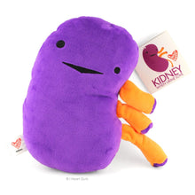 Load image into Gallery viewer, kidney plush i heart guts gigantic soft ages 3+ hangtag facts blood waste recycle organs doctor nurse doctors nurses medical student medicine organs anatomy gift happiness nursing unique spark joy
