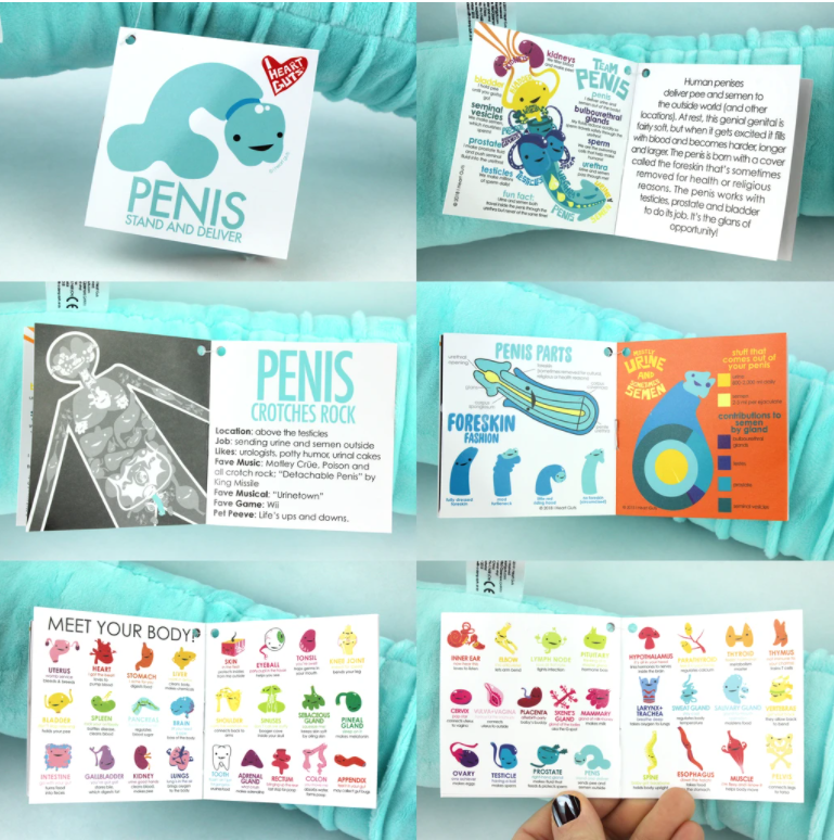 Anatomical Penis Plush
