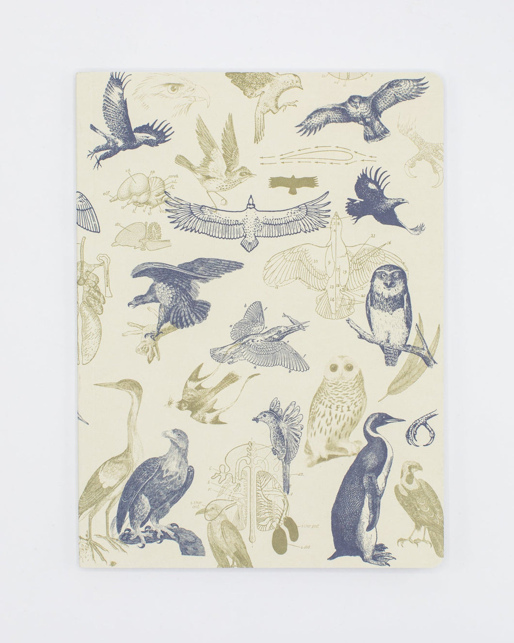 Hunt down your conclusions or let your imagination soar in this cream-colored Birds of Prey notebook.