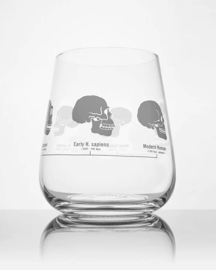 Pour yourself a glass of wine and strike up a casual conversation about paleoanthropology with this Hominid Skulls Wine Glass