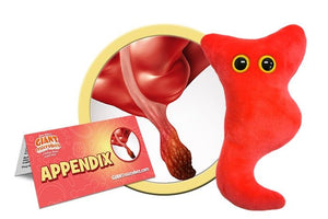 The appendix is a finger-shaped tube sticking out of your colon. It is often considered a “joke organ” with no function. Makes the perfect educational get well gift and a great post-surgery gift for a speedy recovery.