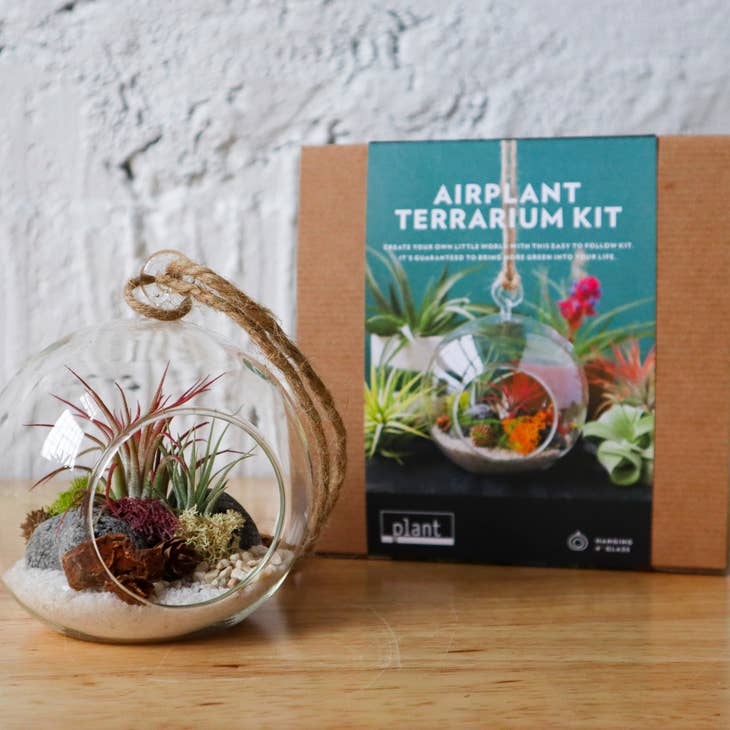 Create your own little world with this easy to follow kit. Minimal green thumb required. This hanging airplant (tillandsia) terrarium kit is perfect for any space; whether hung from the ceiling or wall, or sitting in a dish, you’ll be proud to showcase your miniature environment. 