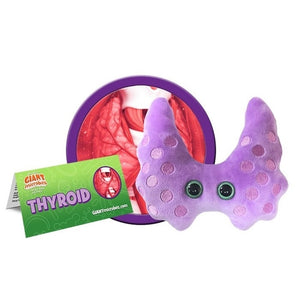 The thyroid is a large endocrine gland located in the front of your neck. It has two halves that wrap around the windpipe. The thyroid functions to control your body’s rate of metabolism, including maintenance of body weight, the rate of energy use and your heart rate. It does this by producing and releasing hormones.  Perfect present for people with or withOUT a thyroid!!! 
