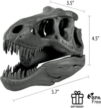 Load image into Gallery viewer, TAKE A DINO BATH : Modeled after a real Tyrannosaurus Rex dinosaur skull head, this decorative shower head gives a prehistoric Jurassic touch to shower-time that kids of all ages will love! Be a part of the Jurassic Era and always come out clean.
