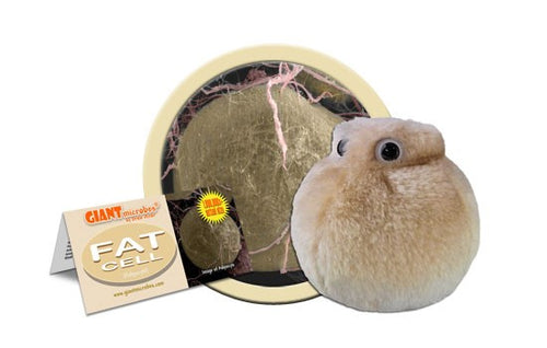 fat cell plush giantmicrobes giant microbes adipocytes excess energy store burn calories cute toy toys exercise gift ages 3+ polyester fiber fill plush soft fun educational facts nurse nurses nursing doctor doctors medicine medical students disease biology