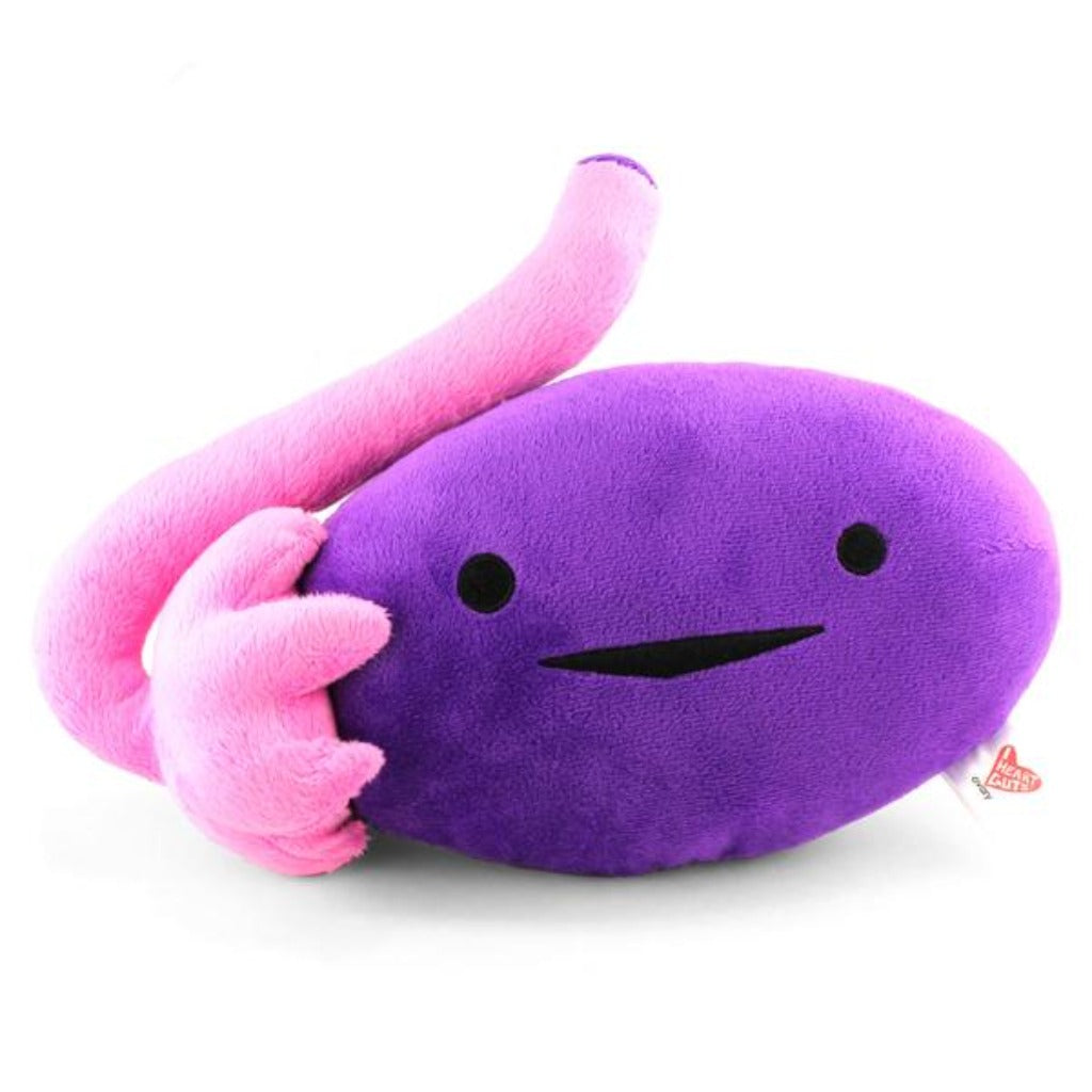 Our happy plush ovary measures 10" x 8" x 4" and it's ready for your embrace. Fantastic booklet hangtag that explains this incredible gland. The ovaries produce eggs and release sex hormones estrogen and progesterone, which control all kinds of biologically female reproductive mayhem from period regulation to babymaking. This plush gland makes a cute and squeezable friend when your body is acting like the enemy.