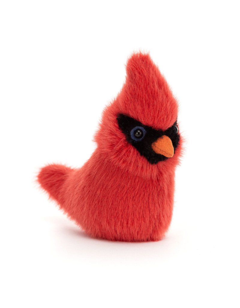 Have fun with this bright red Cardinal.