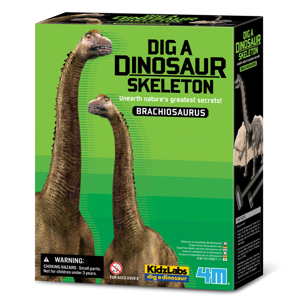 Excavate and assemble the skeleton of a dinosaur. Includes a quiz sheet to challenge friends and family. Set includes: 1 plaster block, 1 dinosaur skeleton, 1 digging tool, 1 brush and 1 instruction and quiz sheet product size between 7” – 11”.